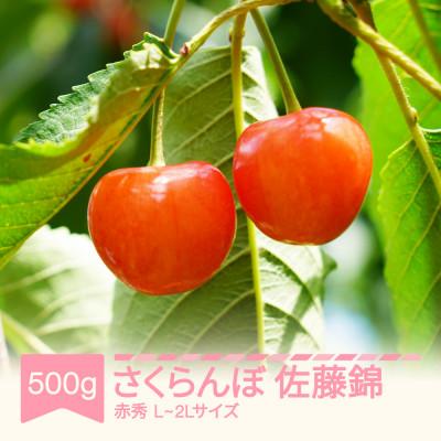 ふるさと納税 村山市 さくらんぼ 佐藤錦 赤秀 L玉 500g×1パック