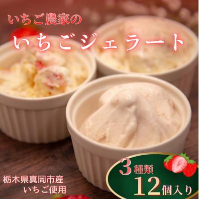 ふるさと納税 真岡市 いちご農家の『いちごジェラート』3種×4個 (計12個)