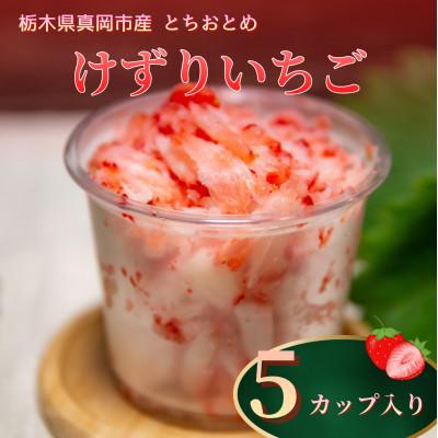 ふるさと納税 真岡市 いちご農家の『けずりいちご』5カップ