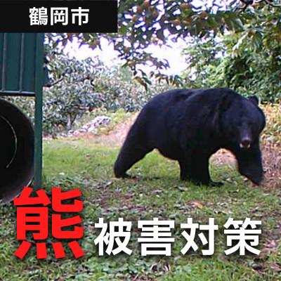 ふるさと納税 鶴岡市 [返礼品なし]熊被害対策支援(鶴岡市)