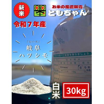 ふるさと納税 養老町 令和7年産 岐阜ハツシモSL 白米 30kg