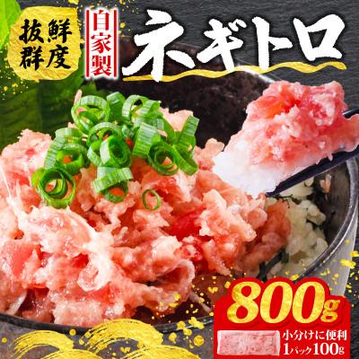 ふるさと納税 松山市 [まぐろ屋さんのねぎとろ]自家製ねぎとろ 小分けだから使いやすい♪ 800g(100g×8パック)