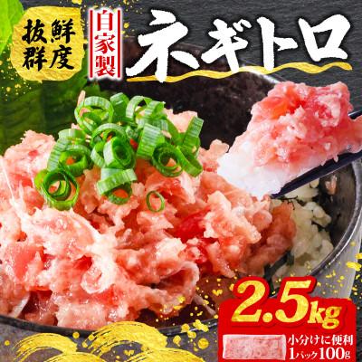 ふるさと納税 松山市 [まぐろ屋さんのねぎとろ]自家製ねぎとろ たくさん食べれる♪ 2.5kg(100×25パック)