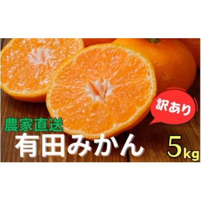 ふるさと納税 九度山町 [25年10月〜順次発送][訳あり]有田みかん約5kg サイズ混合nuk004-noka-c5A