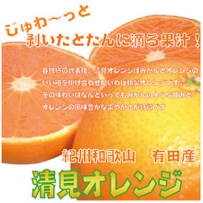 ふるさと納税 九度山町 [2026年3月より順次発送]果汁たっぷり!清見オレンジ 約10kg nuk011-r-10