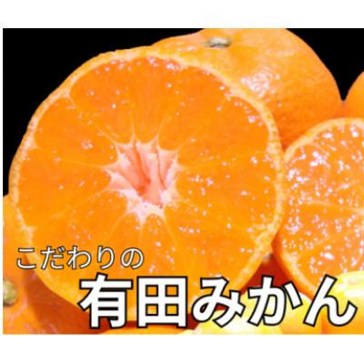ふるさと納税 九度山町 [25年10月より順次発送]有田みかん 大玉3L以上 約10kg nuk004-l-10A