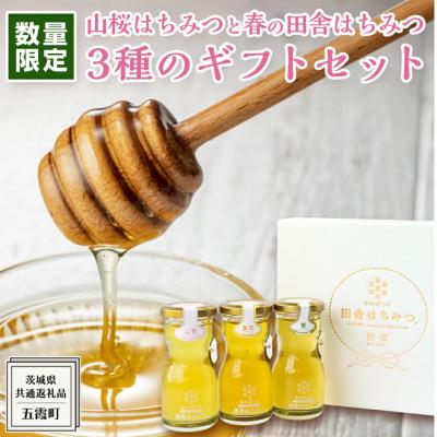 ふるさと納税 牛久市 山桜はちみつと春の田舎はちみつの3種ギフトセット[R3山桜][茨城県共通返礼品/五霞町]