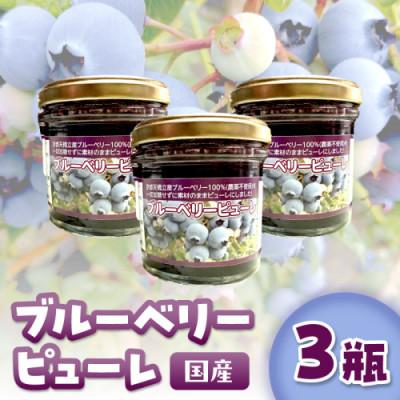 ふるさと納税 京丹後市 国産ブルーベリーピューレ 栽培期間中農薬不使用(3瓶)