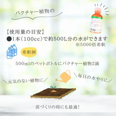 ふるさと納税 津山市 バクチャー植物【植物の栄養材】_2