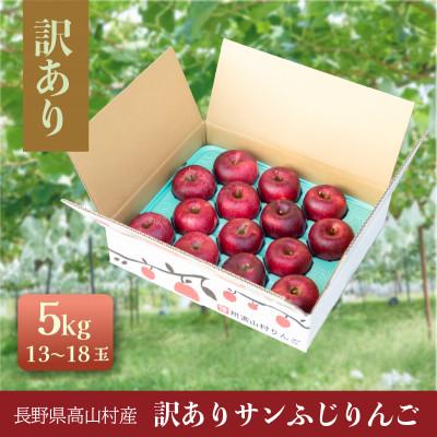 ふるさと納税 高山村 訳ありりんご 5kg(13〜18玉)|常温配送・2025年12月以降発送|長野県高山村産