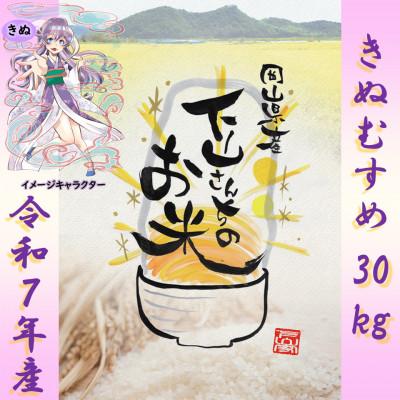 ふるさと納税 岡山市 [岡山県産お米_令和7年産][きぬむすめ]玄米30kg
