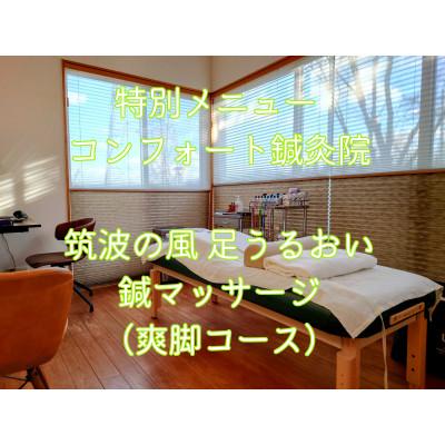 ふるさと納税 つくば市 特別メニュー コンフォート鍼灸院「筑波の風 足うるおい鍼マッサージ(爽脚コース)」60分