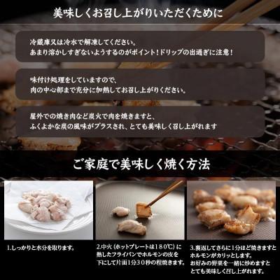 ふるさと納税 旭川市 【塩ホルモン発祥!】「炭や 塩ホルモン」150g×5パック(豚ホルモン)焼肉BBQ _00105 |  | 03
