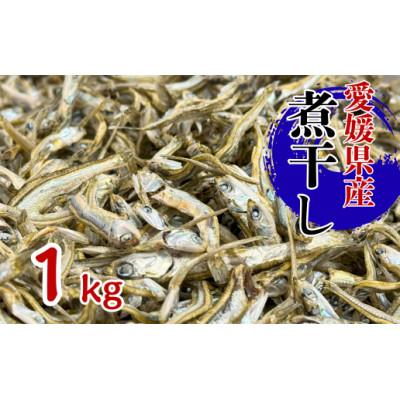 ふるさと納税 伊予市 伊予煮干 いりこ 1kg [2026年10月以降発送] 伊予灘産 瀬戸内海