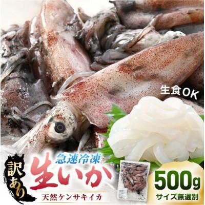 ふるさと納税 越前町 [急速冷凍][訳あり]生いか 天然ケンサキイカ サイズ無選別 500g