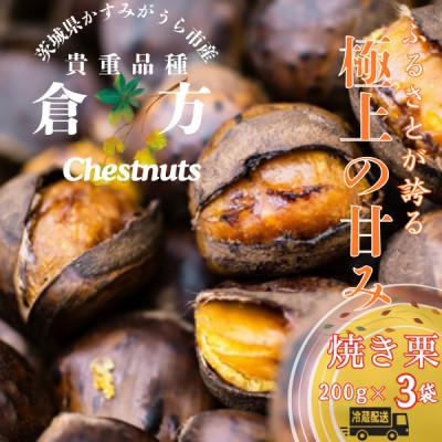 茨城県産】生栗 倉方甘栗1kg 【公式通販】