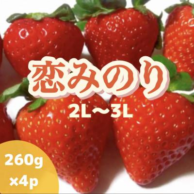 ふるさと納税 島原市 [2026年2月〜4月発送]厳選いちご「恋みのり(2L〜3L)」260g×4パック