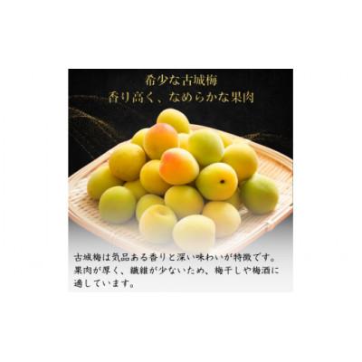 cptjchan様 古城梅 3キロと南高梅 ３キロ ふるさと納税 田辺市 【先行予約】 青梅【古城梅】 3kg(2027年5月より