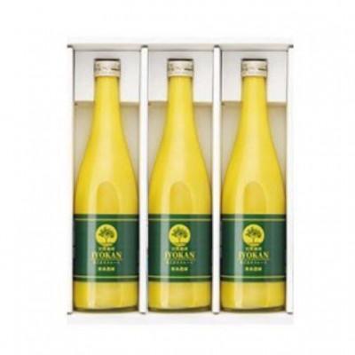 ふるさと納税 松山市 【熨斗付】宮内伊予柑 皮ごとストレート720ml×3本