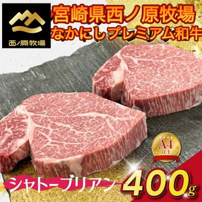 ふるさと納税 小林市 宮崎県西ノ原牧場・なかにしプレミアム和牛シャトーブリアン 400g(E130)(小林市)