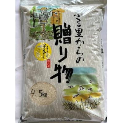 ふるさと納税 館山市 令和7年産 菜の花育ち(館山産コシヒカリ)白米 4.5