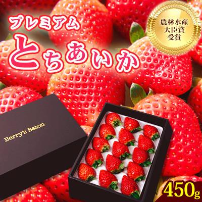 ふるさと納税 真岡市 とちあいか贈答用 黒箱約450g 12粒〜15粒 ギフトBOX 日本一いちご王国栃木の首都真岡市