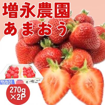 ふるさと納税 八女市 [2026年1月より順次配送]八女・増永農園のあまおう 270g×2パック