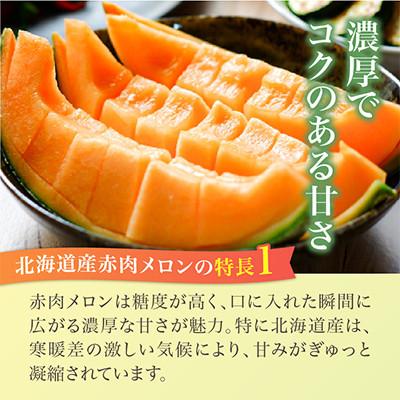ふるさと納税 旭川市 [2026年発送]北海道産赤肉メロン・小玉スイカ(約1.6kg×各1玉)_02064