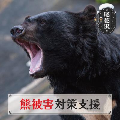 ふるさと納税 尾花沢市 [返礼品なし]あなたの寄附が命(人・熊)を守る くま被害 クマ対策 [寄附額2,000円]尾花沢市