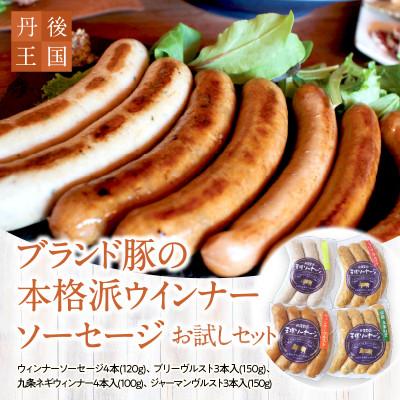 ふるさと納税 京丹後市 京都[丹後王国]から本場仕込みの味!ブランド豚使用の本格派ウインナー・ソーセージお試しセット