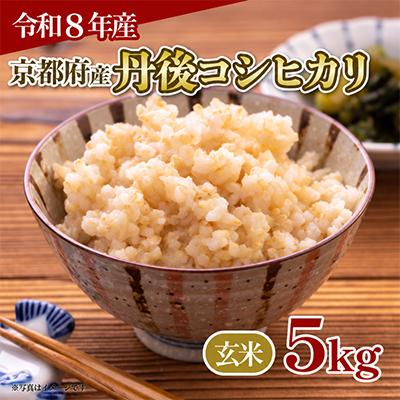 ふるさと納税 京都府 【令和8年産】京都府産 丹後コシヒカリ 玄米 5kg