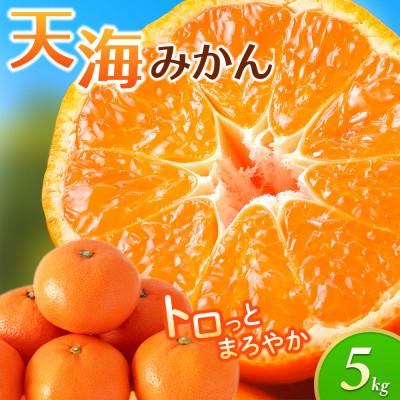 ふるさと納税 田辺市 温州みかん 天海みかん 柑橘 完熟宮川早生5kg 和歌山 田辺市 農家直送[nak006-1]