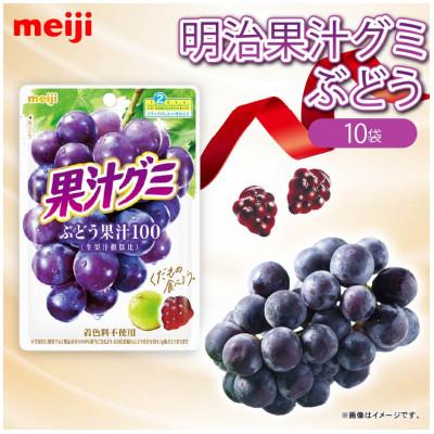 ふるさと納税 藤枝市 明治 果汁グミ ぶどう 54g×10個 着色料不使用