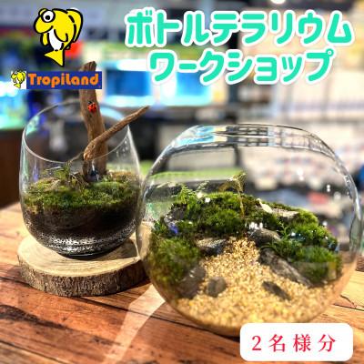 ふるさと納税 東村山市 ボトルテラリウムワークショップ 2名様分