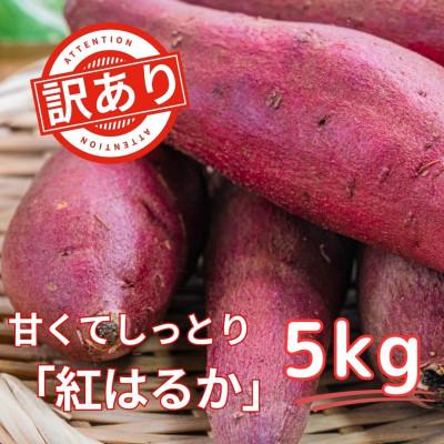 ふるさと納税 美里町 [訳あり!]さつまいも 紅はるか 5kg
