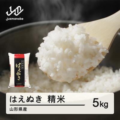 ふるさと納税 山辺町 新米[2026年1月上旬〜1月中旬頃に発送]はえぬき 精米 5kg tf-hasxb5-1f