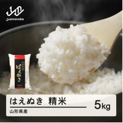 ふるさと納税 山辺町 [2026年3月上旬〜3月中旬頃に発送]はえぬき 精米 5kg tf-hasxb5-3f