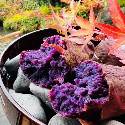 ふるさと納税 新庄市 栽培期間中、農薬・化学肥料不使用 しっとり甘〜い『ふくむらさき』1kg(サイズ混合)