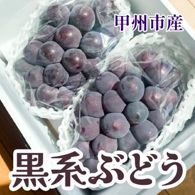ふるさと納税 甲州市 山梨県産黒系ぶどう2房(合計1kg程度)