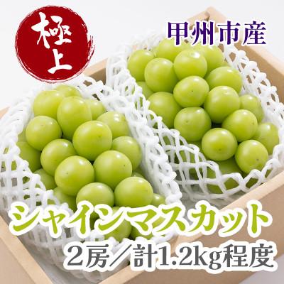ふるさと納税 甲州市 極上! 山梨県産シャインマスカット2房(合計1.2kg程度)