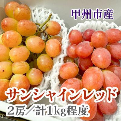 ふるさと納税 甲州市 山梨県産サンシャインレッド2房(合計1kg程度)
