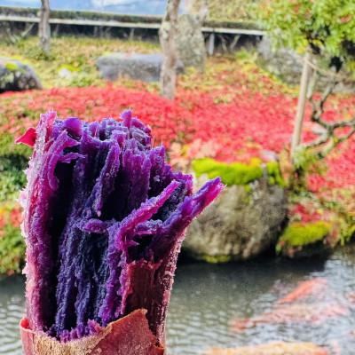 ふるさと納税 新庄市 熟成焼き芋 ふくむらさき 300g 小芋サイズ 冷凍でお届け