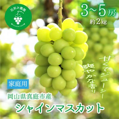 ふるさと納税 真庭市 [2026年先行受付]岡山 花笑み農園の『シャインマスカット』家庭用 約2kg(3〜5房) S-2家