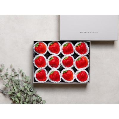 ふるさと納税 菊池市 [産地直送]ツツミイチゴ(ひのしずく)贅沢 (約540g[約45g×12玉])[熊本県菊池産]