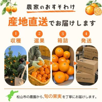ふるさと納税 松山市 【先行予約】12月上旬より発送 愛果28号 家庭用 訳あり お試し1kg 紅まどんな同品種 |  | 03