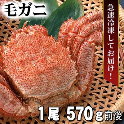 ふるさと納税 旭川市 北海道産 ボイル毛ガニ 冷凍 1尾 570g前後_05580
