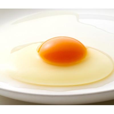 ふるさと納税 色麻町 森のたまご(白)66個(+割れ補償6個) |  | 01