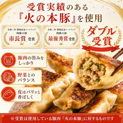 ふるさと納税 和水町 「火の本豚」餃子　20個入り×2パック(和水町) |  | 01
