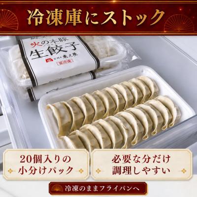 ふるさと納税 和水町 「火の本豚」餃子　20個入り×2パック(和水町) |  | 02