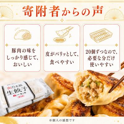 ふるさと納税 和水町 「火の本豚」餃子　20個入り×2パック(和水町) |  | 03